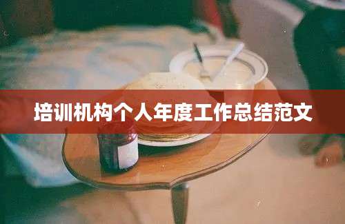 培训机构个人年度工作总结范文
