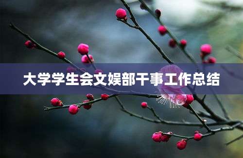 大学学生会文娱部干事工作总结