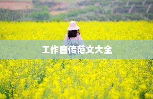 工作自传范文大全