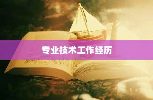 专业技术工作经历