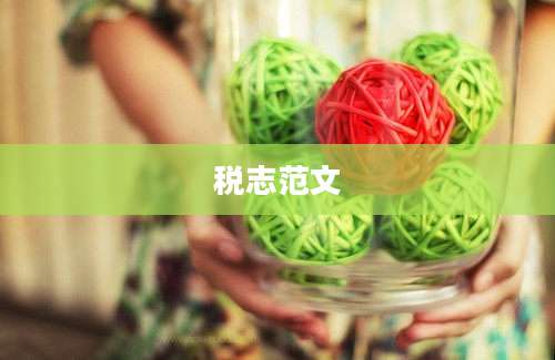 税志范文