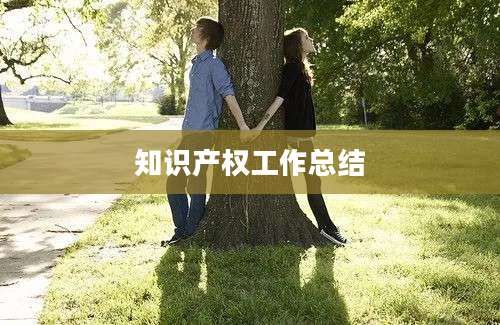 知识产权工作总结