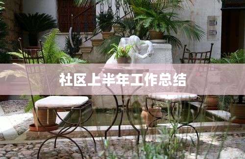 社区上半年工作总结