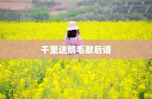 千里送鹅毛歇后语