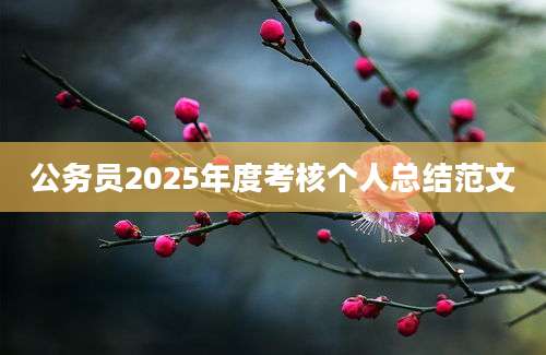 公务员2025年度考核个人总结范文