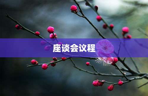 座谈会议程