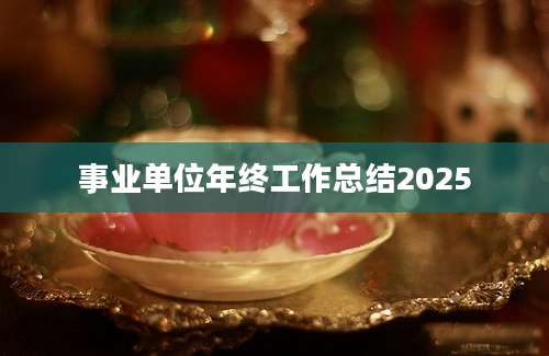 事业单位年终工作总结2025