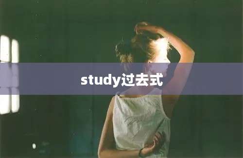 study过去式