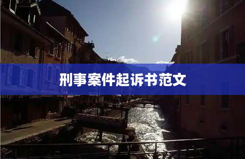 刑事案件起诉书范文