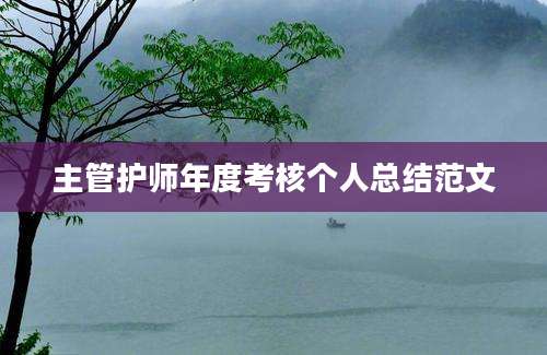 主管护师年度考核个人总结范文