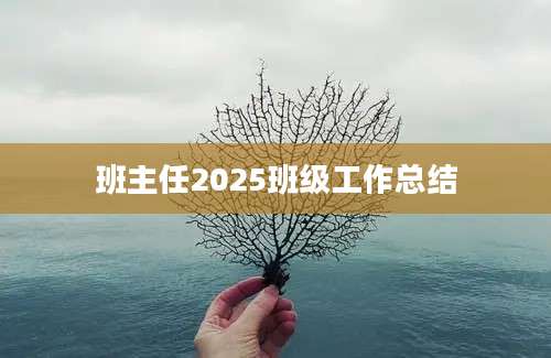 班主任2025班级工作总结