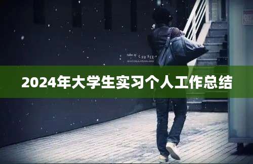 2024年大学生实习个人工作总结