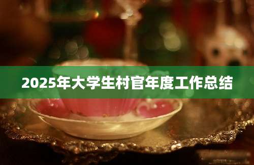 2025年大学生村官年度工作总结