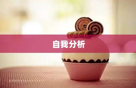 自我分析