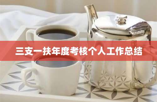 三支一扶年度考核个人工作总结