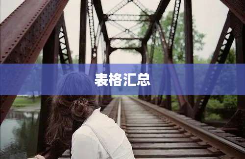 表格汇总