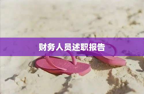 财务人员述职报告