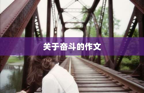 关于奋斗的作文