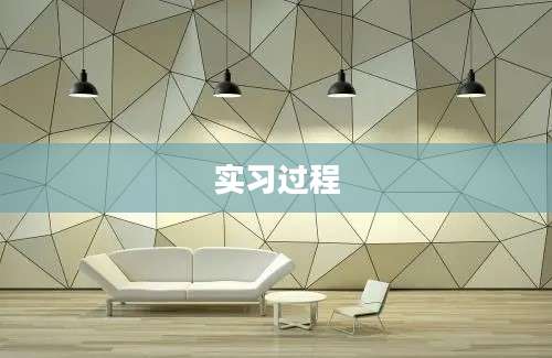 实习过程