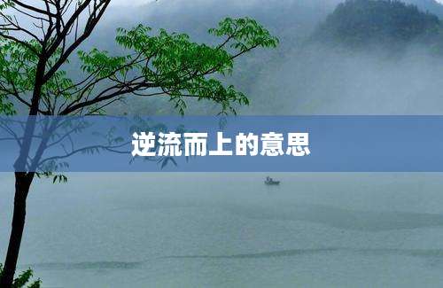 逆流而上的意思
