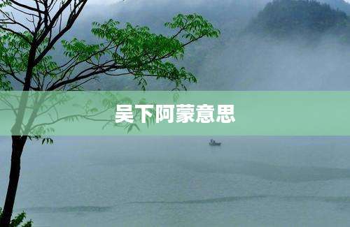 吴下阿蒙意思