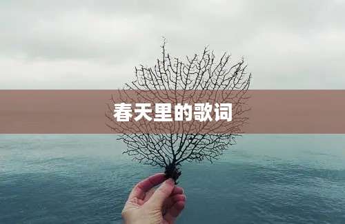 春天里的歌词