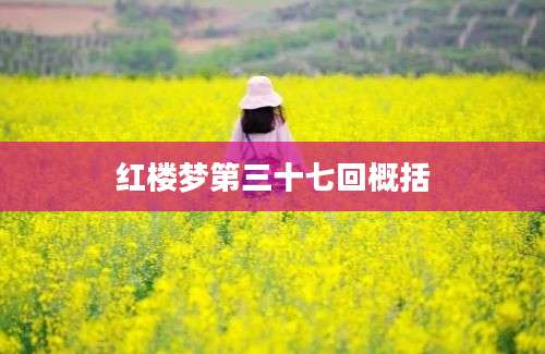 红楼梦第三十七回概括