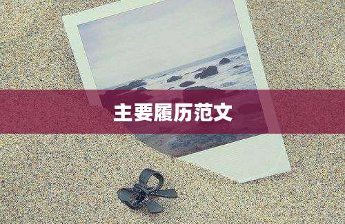 主要履历范文