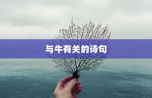 与牛有关的诗句