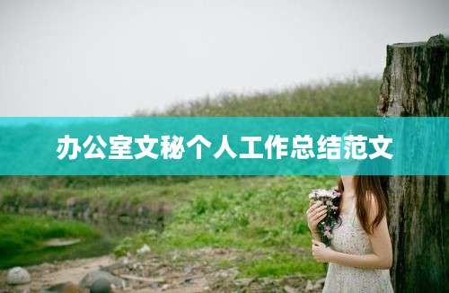 办公室文秘个人工作总结范文