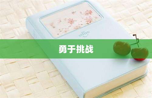 勇于挑战