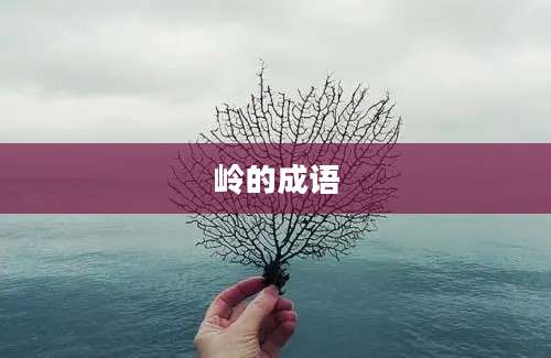 岭的成语
