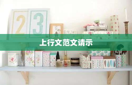 上行文范文请示