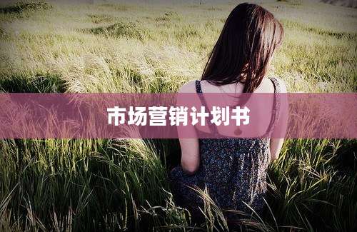 市场营销计划书