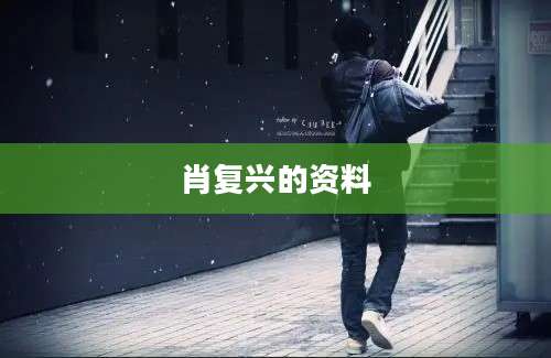 肖复兴的资料