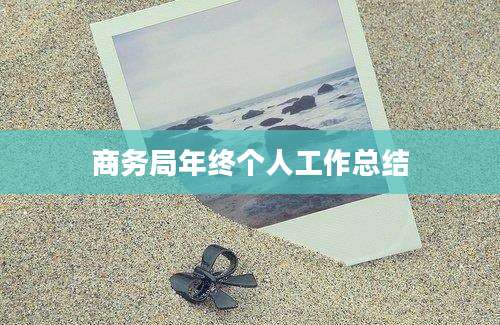 商务局年终个人工作总结