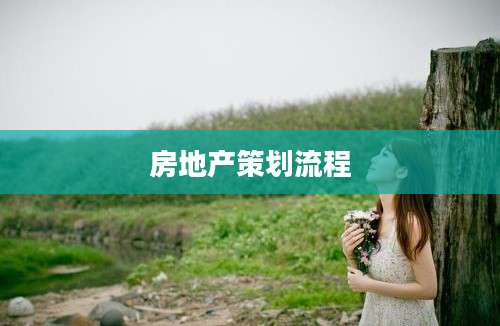房地产策划流程