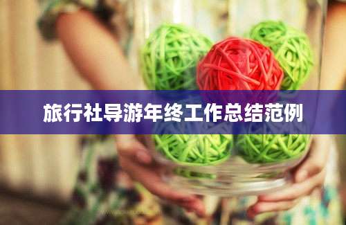 旅行社导游年终工作总结范例