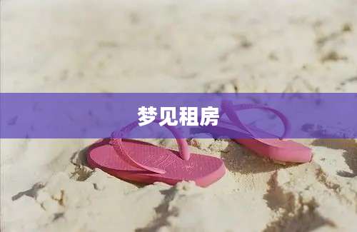 梦见租房