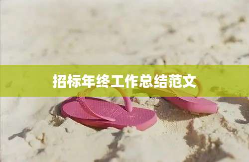 招标年终工作总结范文