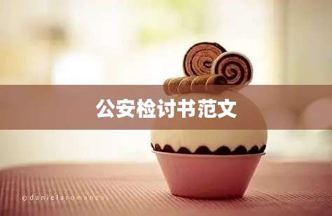公安检讨书范文