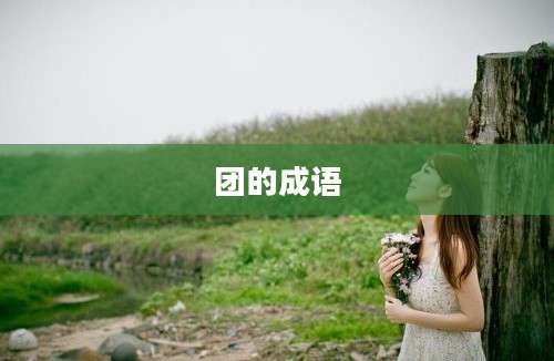 团的成语