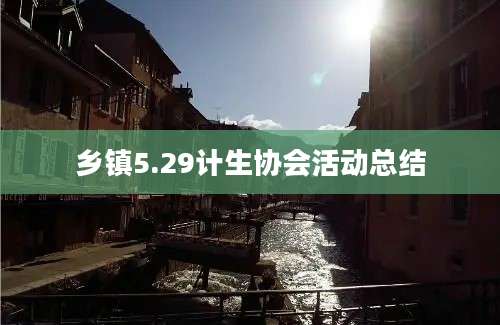 乡镇5.29计生协会活动总结