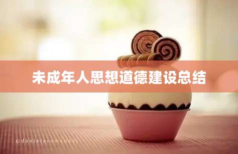 未成年人思想道德建设总结