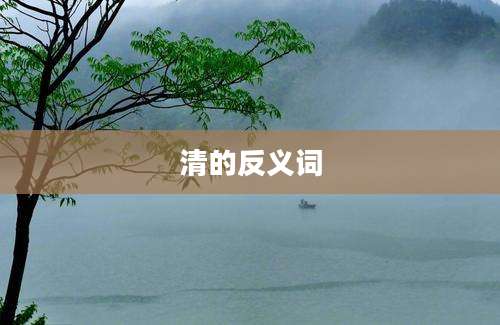 清的反义词