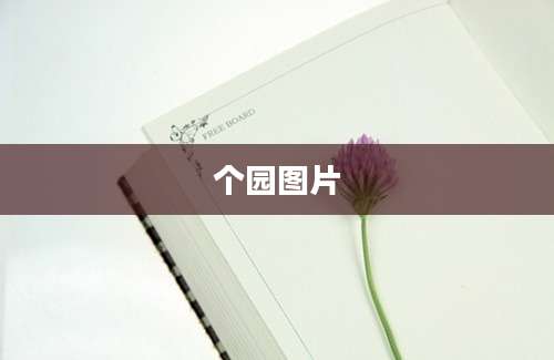 个园图片