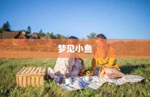 梦见小鱼