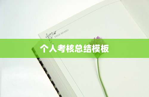 个人考核总结模板