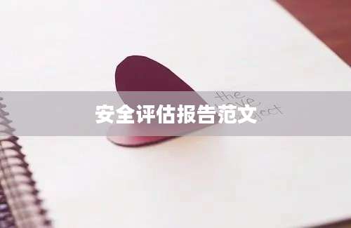 安全评估报告范文