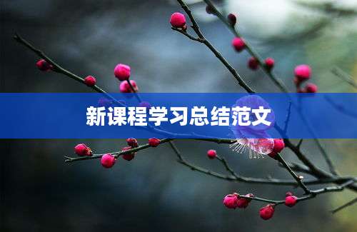 新课程学习总结范文